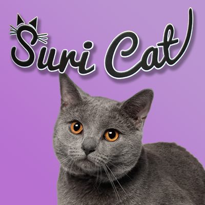 Suri Cat
